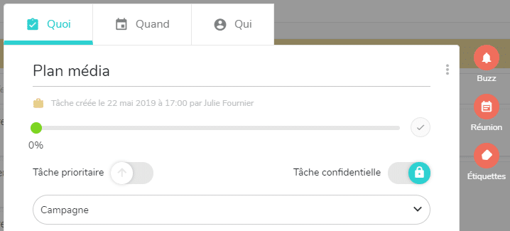 Définir une tâche confidentielle dans l'onglet Quoi d'une tâche dans Beesbusy