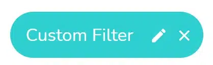 Button - Custom filter