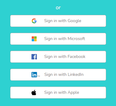 Log in to Beesbusy with the connector you wish.