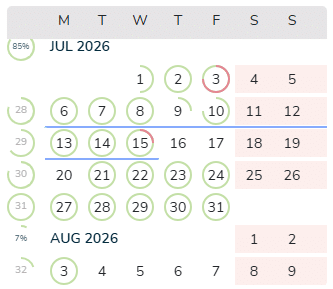 Calendar of the member in the who tab of the task, to plan time