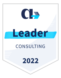 Badge Leader consulting