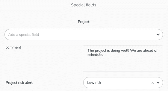 Representation of special project fields