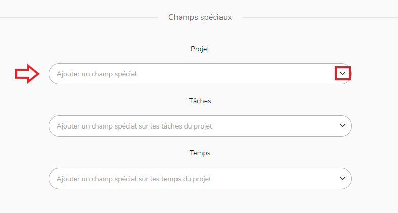 Présentation champs spéciaux paramètre projet