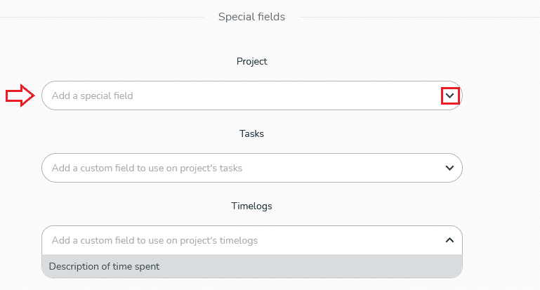 Presentation special fields project parameter