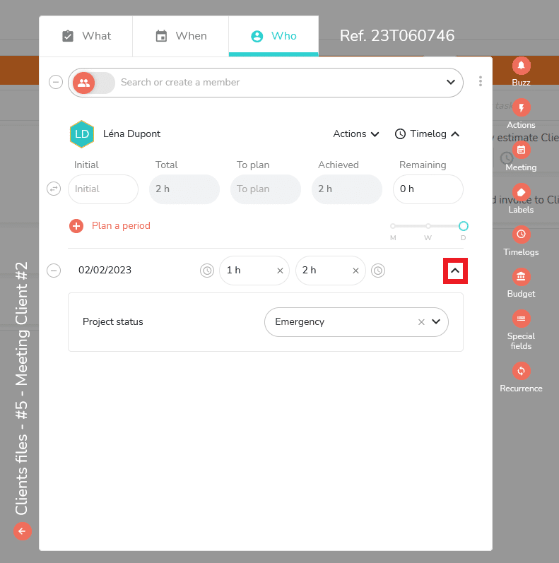 Display of special task fields