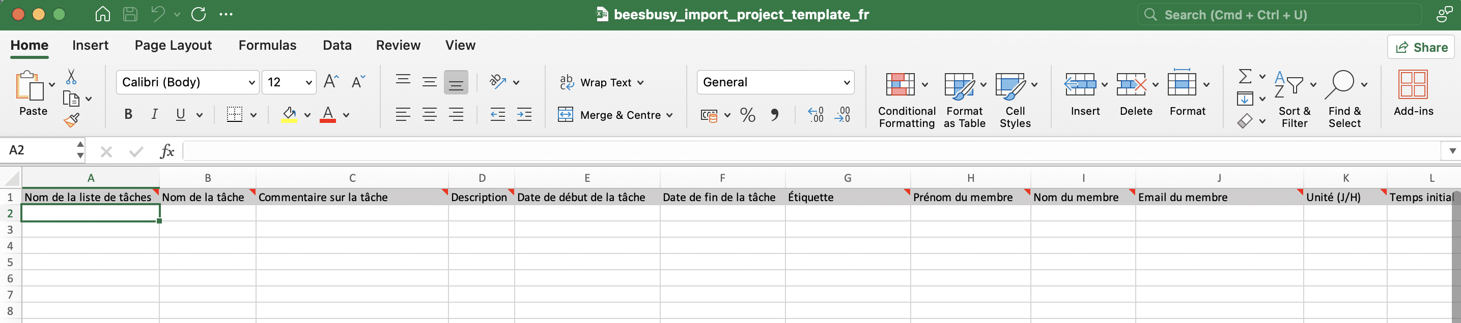 Template excel pour import dans projet